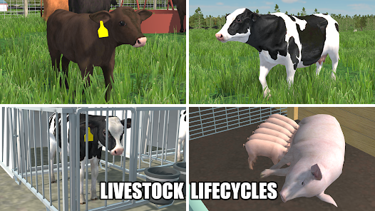 American Farming screenshot #3