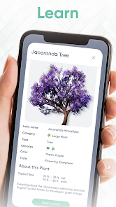 Garden Joy screenshot #4