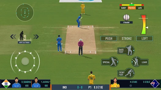 Real Cricket? 24 screenshot #1
