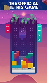 Tetris? screenshot #1
