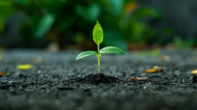 How To Encourage A Growth Mindset In Early Learners