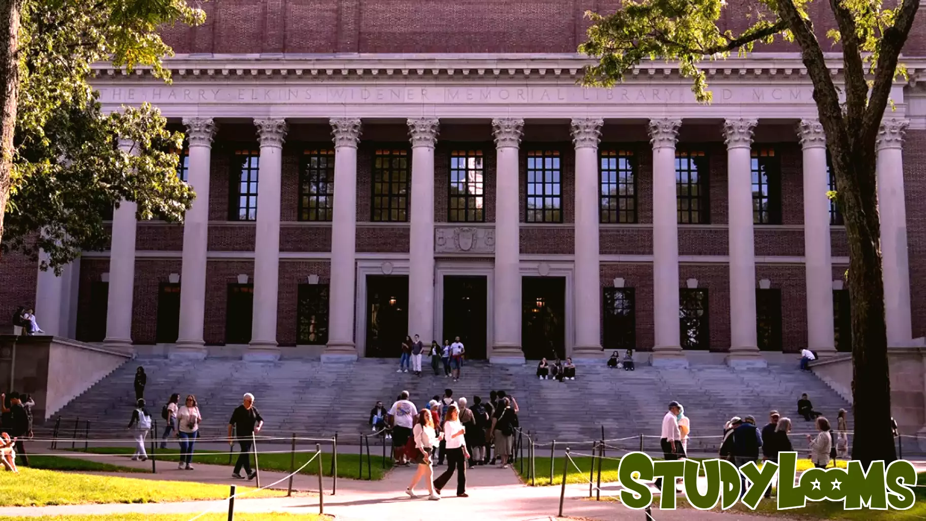 A Shift in University Governance Amid Growing Divisions