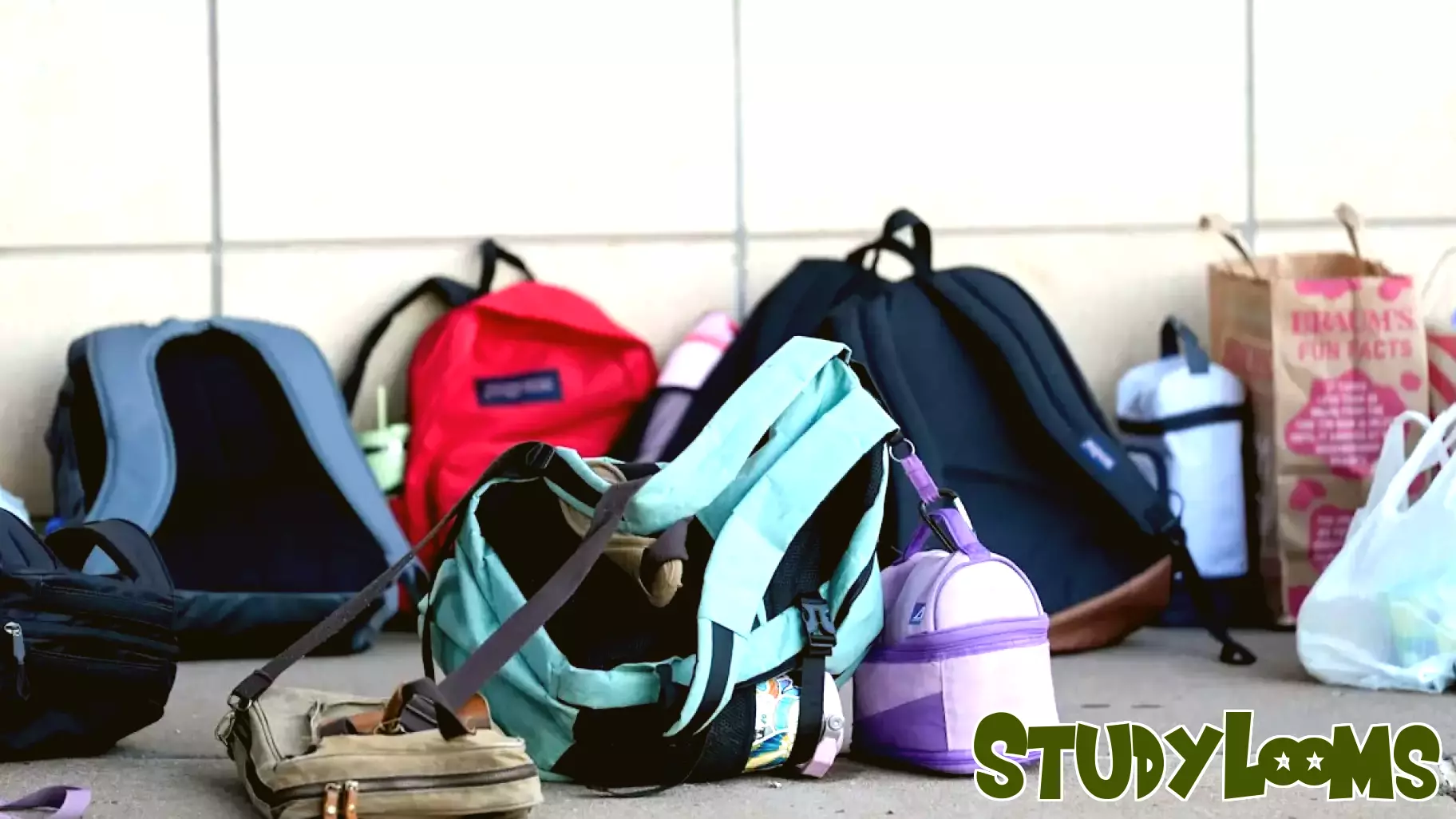 Addressing Chronic Absenteeism in Schools: Legislative Initiatives