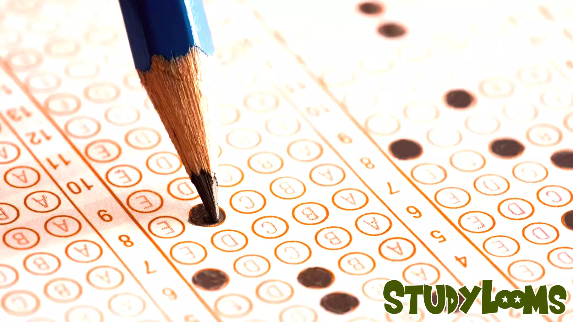 Decline in Reading Scores in NYC Public Schools Amid Steady Math Performance