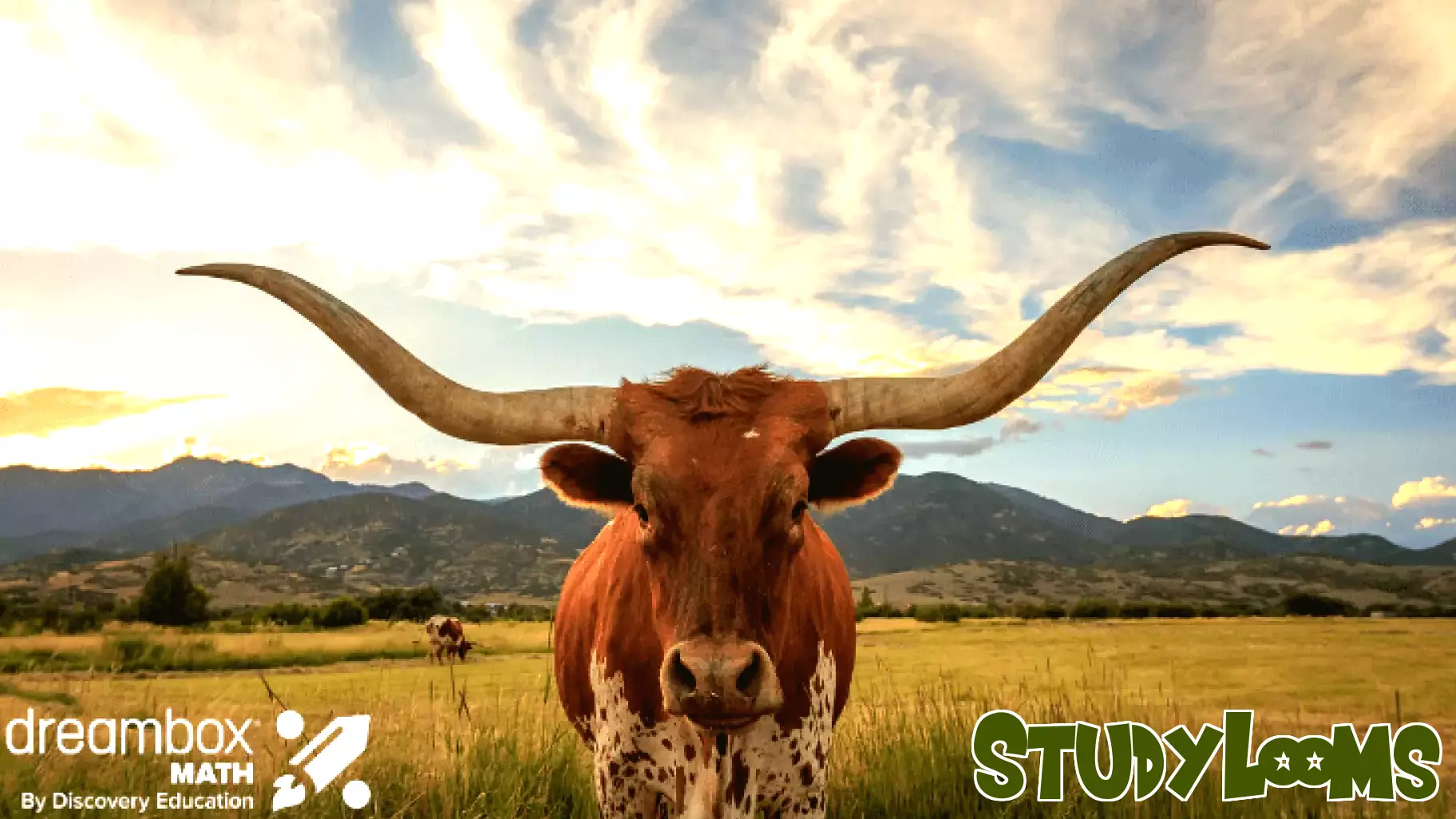 DreamBox Math for Texas Receives IMRA Approval, Enhancing Adaptive Learning Across Classrooms