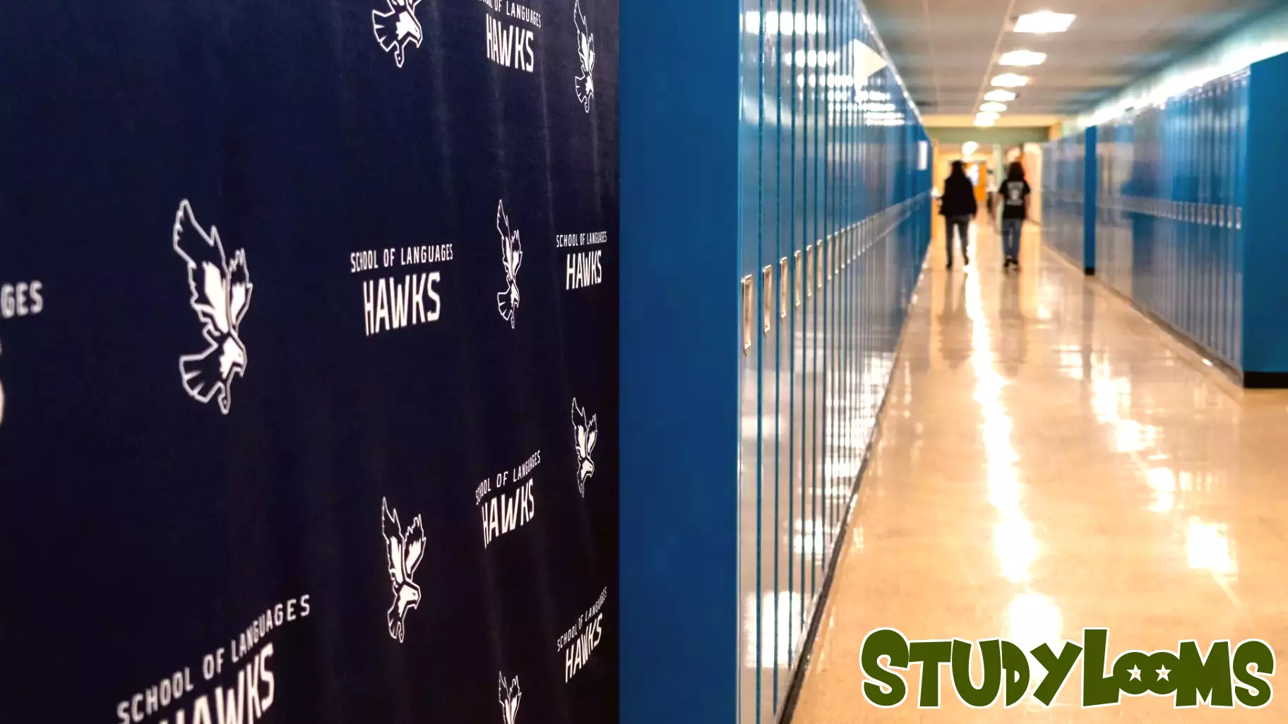 Education Funding Takes Center Stage in Upcoming Senate Races