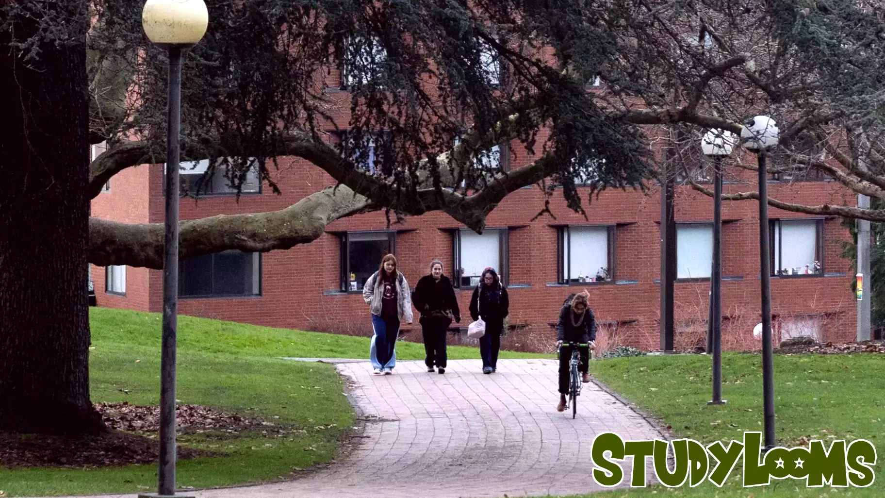 Higher education spared, early education slashed in WA legislative budget 