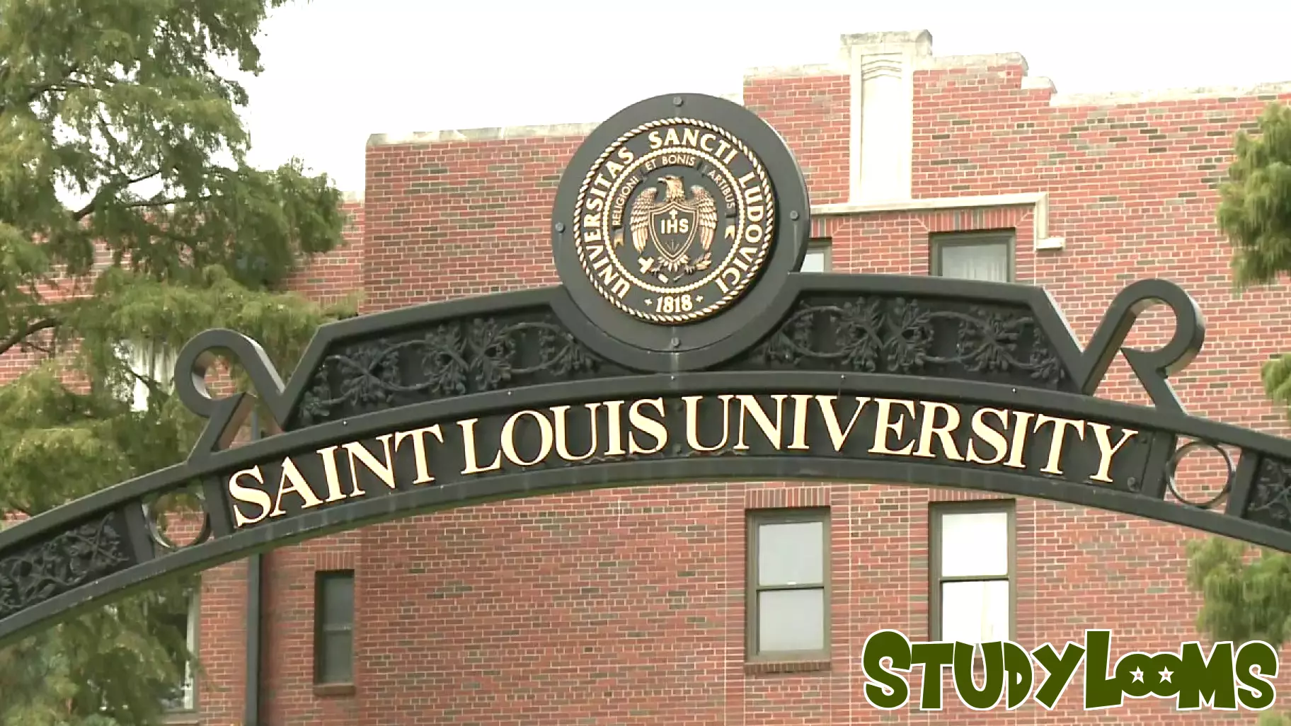 Investigation Launched into Saint Louis University School of Medicine for Alleged Racial Discrimination
