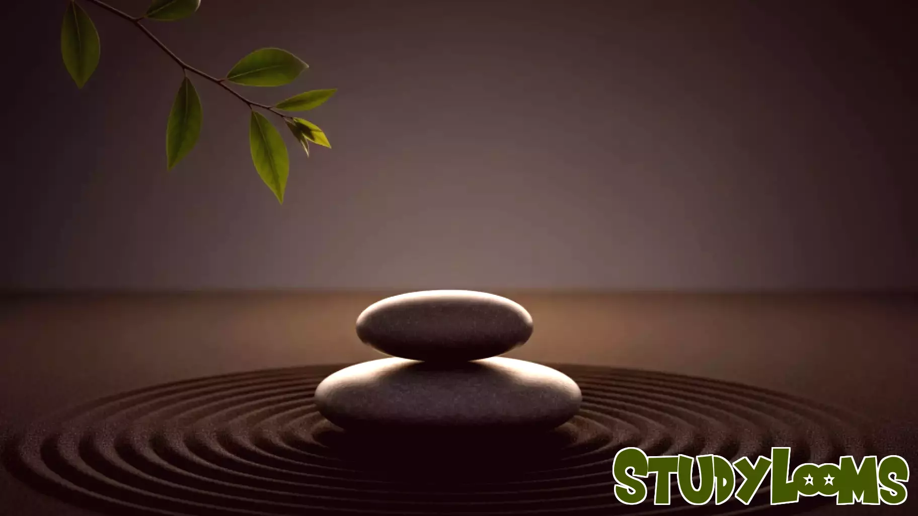 The Impact of AI on Professional Identity in Medical Education