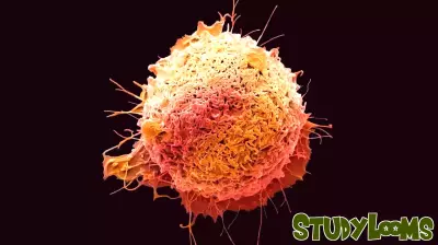 As Colorectal Cancer Rises in Younger Populations, Research and Education is More Important than Ever