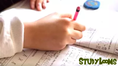 Connecticut Allocates Over $10 Million to Enhance Special Education Programs