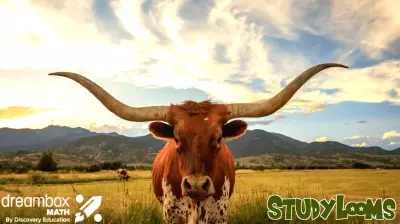 DreamBox Math for Texas Receives IMRA Approval, Enhancing Adaptive Learning Across Classrooms