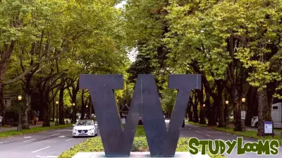 Education Department Investigates Antisemitism Allegations at Four Washington Colleges