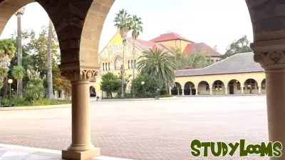 Expanding Title IX Education: A Step Toward Cultural Change