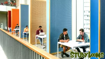 Rethinking University Funding: The Shift Towards Privatization