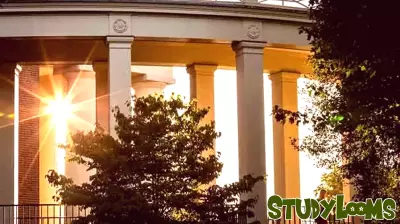 Wake Forest University Expands Character Education Initiatives
